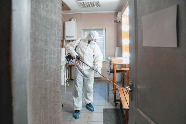 Best Mold Removal for HVAC Installations  in USA